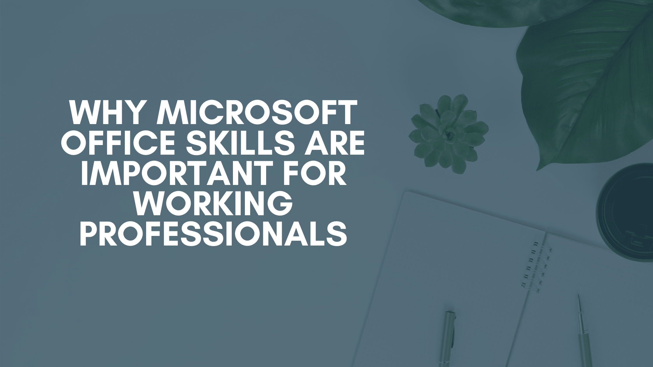 Why Microsoft Office Skills are Important for Working Professionals